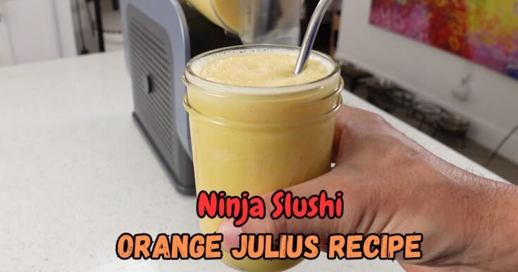 Ninja Slushi Orange Julius Recipe