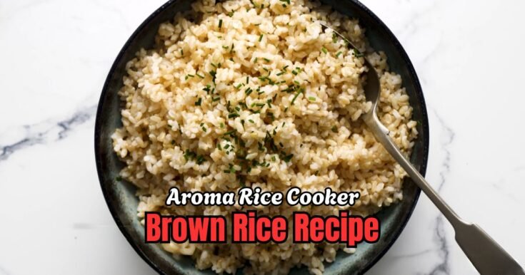 Aroma Rice Cooker Brown Rice Recipe