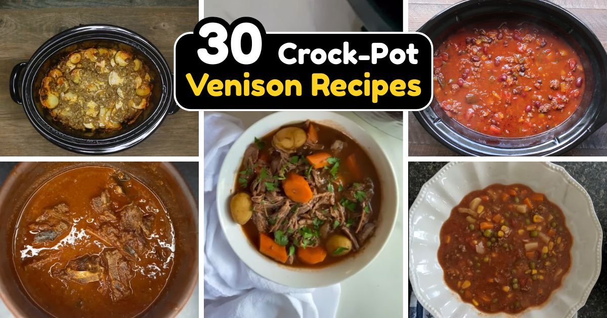 Crock-Pot Venison Recipes